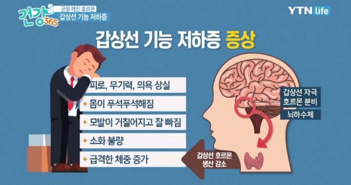 살이찌고 피곤하다면 갑상선 저하증 의심.jpg | 인스티즈