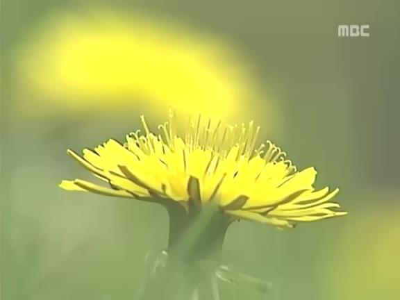 [거침없이하이킥] 봄바람 난 문희여사 에피소드.jpg | 인스티즈