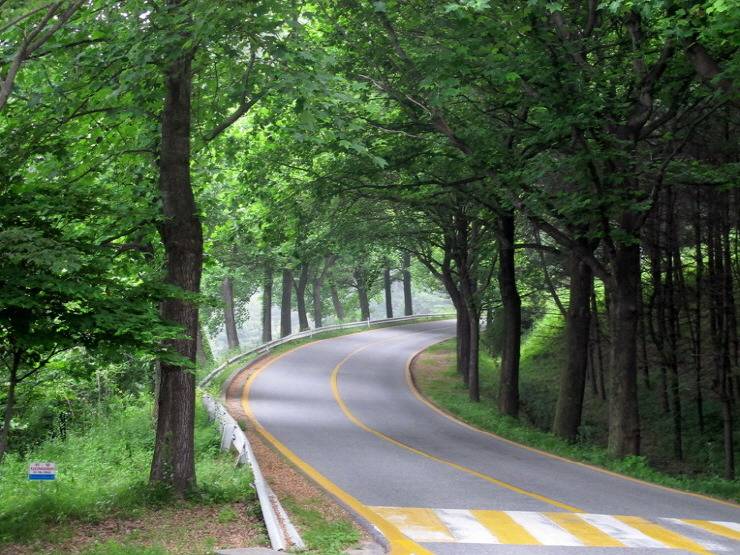 대한민국 최고의 드라이브코스들 총망라 | 인스티즈