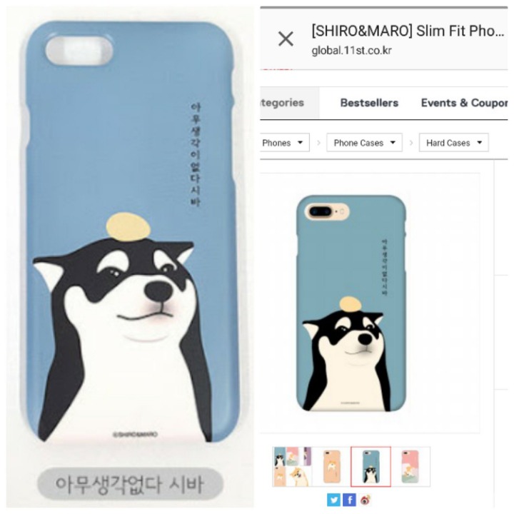 남의 강아지 사진을 멋대로 가져다 쓴 한국 휴대폰 케이스 회사에 견주가 저격글을 올렸음 | 인스티즈