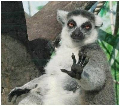 배우 빠수니들은 어떻게 짱덕질하는지 내가 자기소개 해드림 | 인스티즈