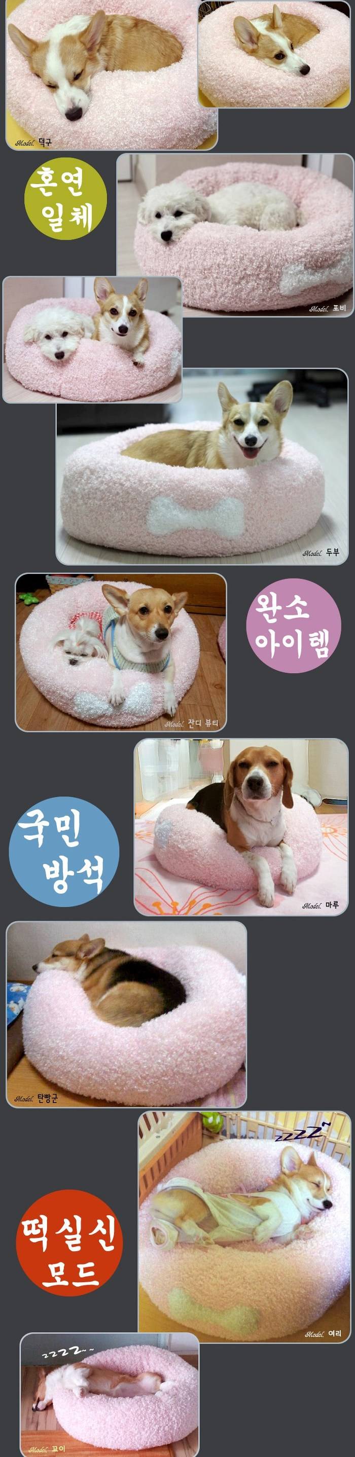 국민 개방석.jpg | 인스티즈