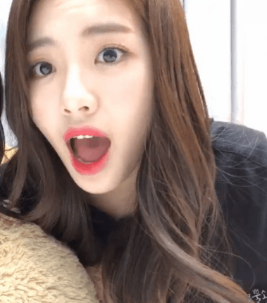 상왕돌 박지원.gif | 인스티즈