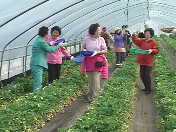 [거침없이하이킥] 봄바람 난 문희여사 에피소드.jpg | 인스티즈