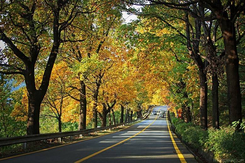 대한민국 최고의 드라이브코스들 총망라 | 인스티즈