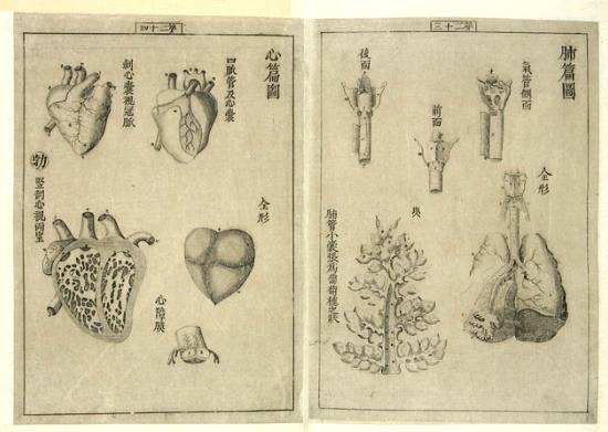 조선과는 다른 길을 갔던 일본 에도시대 | 인스티즈