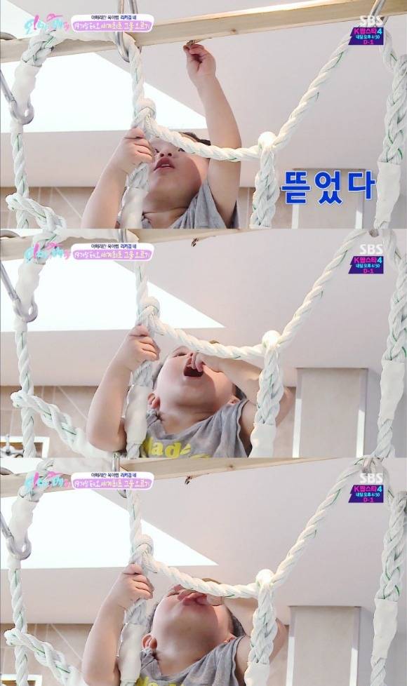 캐릭터 확실한 태오 | 인스티즈