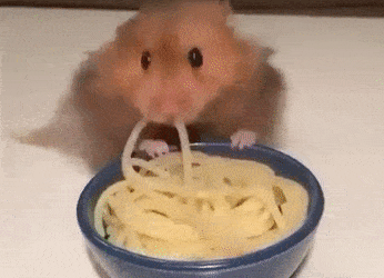 안녕 난 햄스터야. 난 먹는게 제일 좋아. 하지만 너도 정말 좋아해 | 인스티즈
