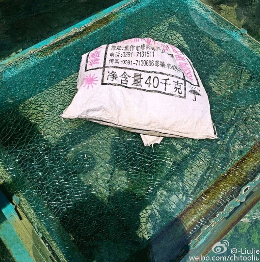 중국의 아찔한 등산로 | 인스티즈