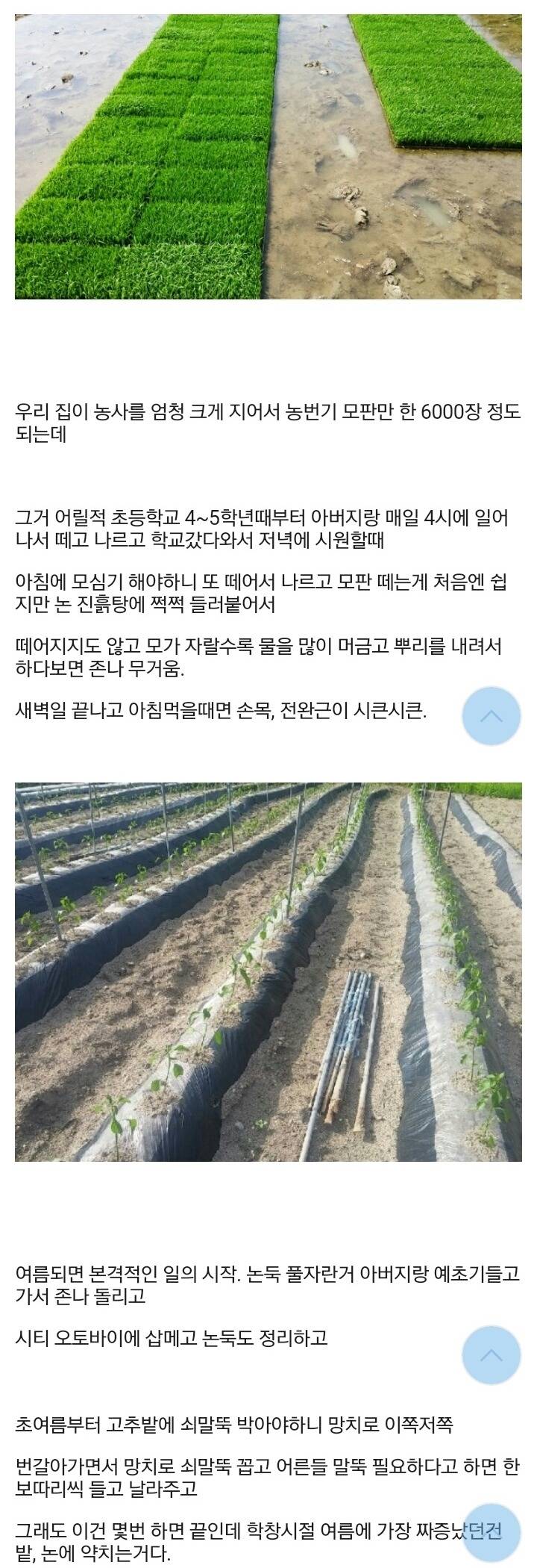 헬스갤) 20살인데 어릴때부터 농사일 많이한거 후회했는데 단점만 있는건 아니더라 | 인스티즈