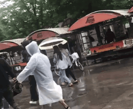 [레드벨벳] 다시 리얼리티 행복회로 돌아가는 유럽 현지 목격담 | 인스티즈