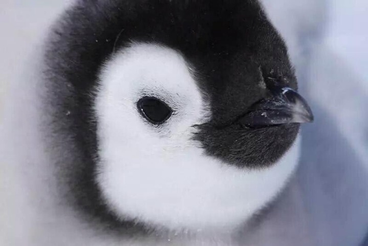 음양의 조화.jpg | 인스티즈