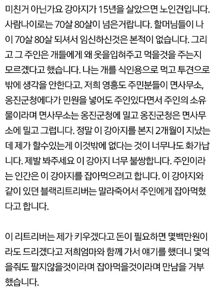 불쌍한 리트리버 | 인스티즈