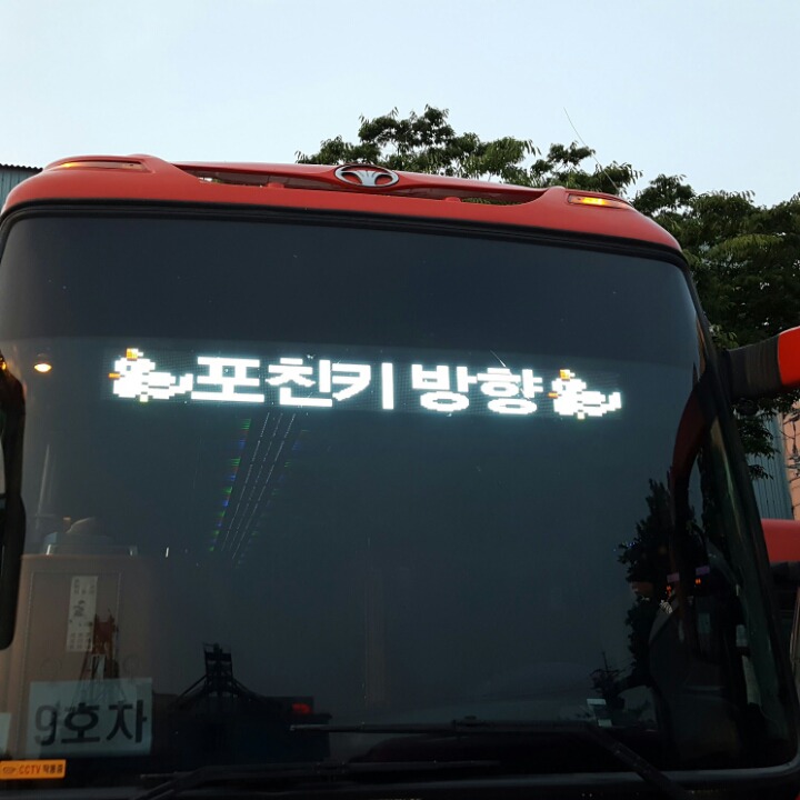 집에 가는게 신난 버스기사 아저씨 | 인스티즈