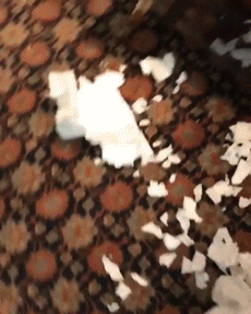 여어~ 히사시부리~ | 인스티즈