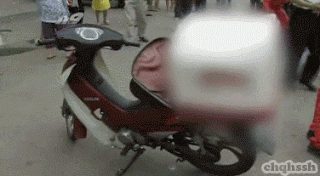 오지라퍼.gif | 인스티즈