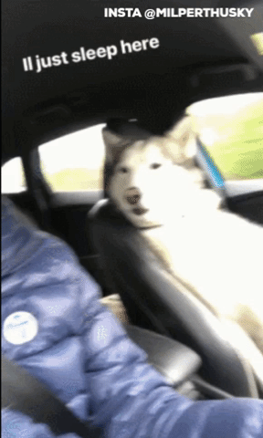 야~조수석 개편하네 한숨 때린다 .GIF | 인스티즈