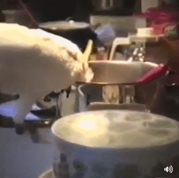 잘 받아 먹음 ~ | 인스티즈