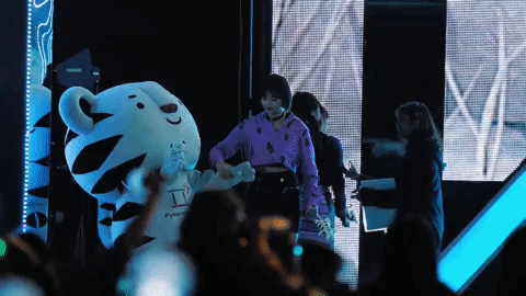 트와이스: 호랭아 위험해! 어서 안전한 곳으로 들어가자.gif | 인스티즈