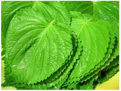 의외로 싫어하는 사람들이 많은 | 인스티즈