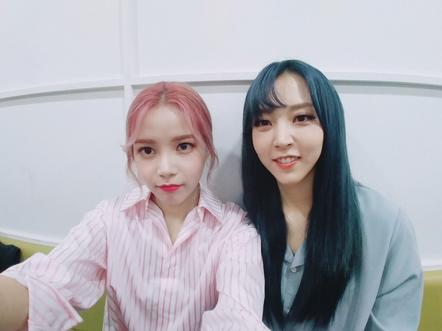 마마무 3주년인데 회사가 일을안하네 | 인스티즈