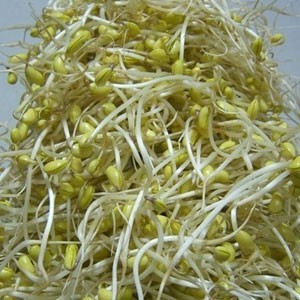 의외로 싫어하는 사람들이 많은 | 인스티즈