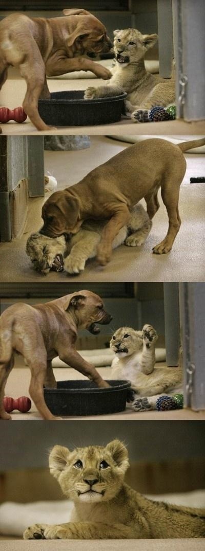 커서 보자2.jpg | 인스티즈