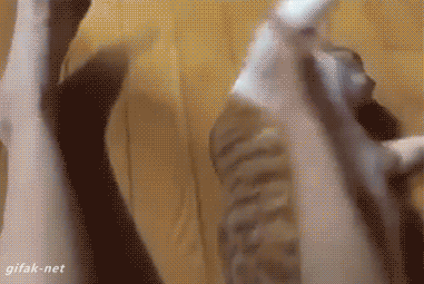 발 좀 씻고 다니라냥!!!!!!!!!!! | 인스티즈