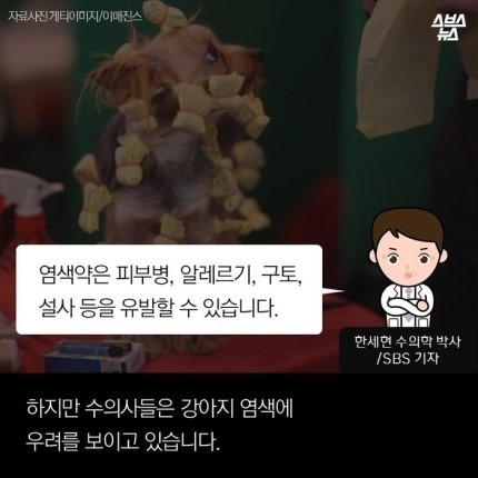 강아지가 도화지야???? | 인스티즈