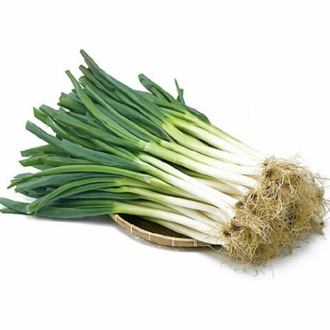 호불호 심한 네가지 | 인스티즈