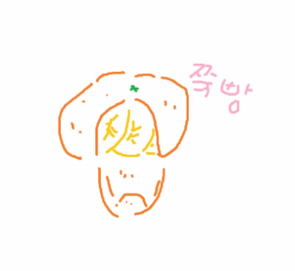 본인이 귤먹는 방법은? | 인스티즈