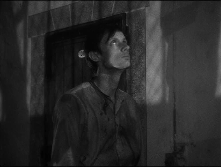 영화감독 홍상수가 고른 영화 베스트 10 | 인스티즈