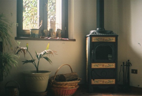  사랑이라고 말하고 싶습니다 | 인스티즈