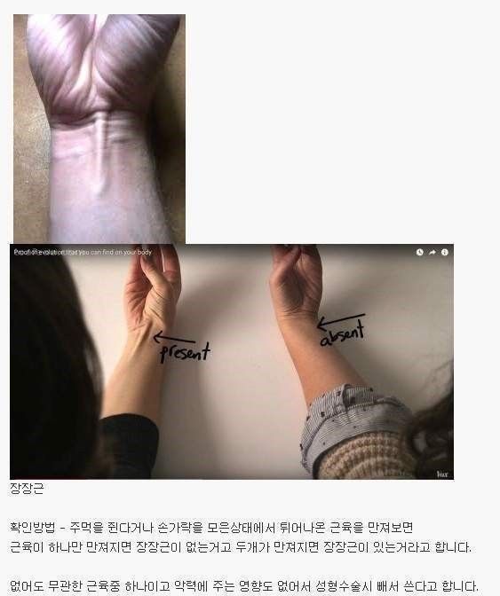 14%의 사람은 없는 근육 | 인스티즈