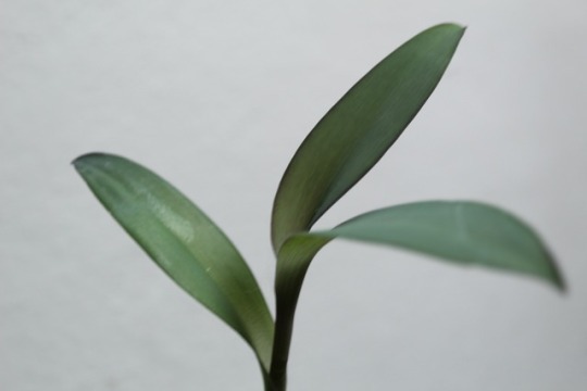  여름의 끝자락에서 | 인스티즈