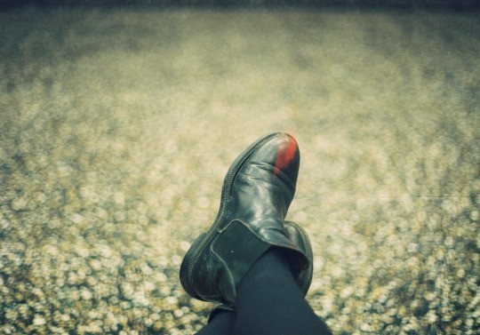  사랑이라고 말하고 싶습니다 | 인스티즈