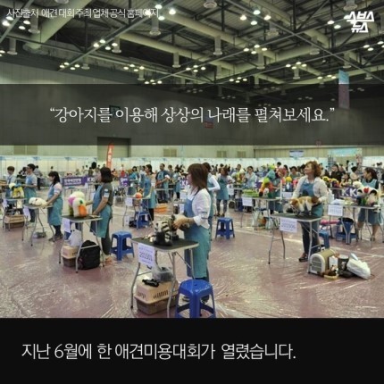 강아지가 도화지야???? | 인스티즈