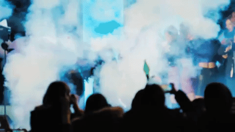 트와이스: 호랭아 위험해! 어서 안전한 곳으로 들어가자.gif | 인스티즈