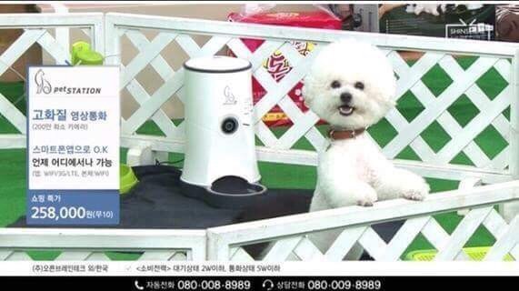 전국에 탈옥 실황 중계.jpg | 인스티즈