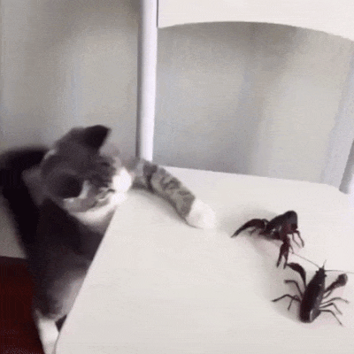 ??: 아 요래요래 | 인스티즈