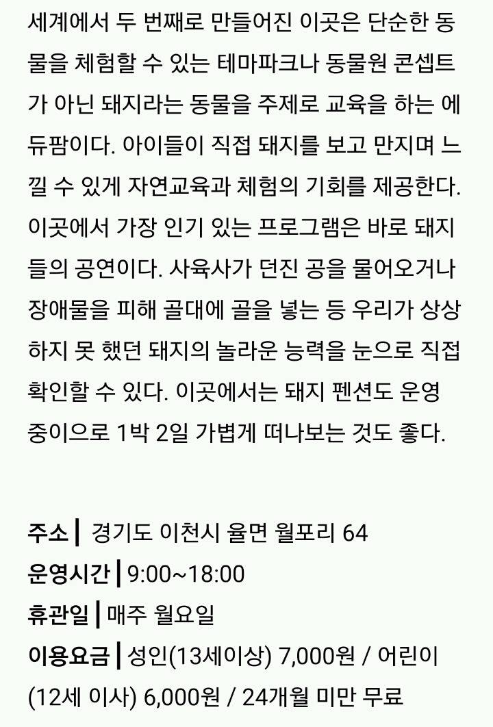 [육아] 아이와 함께 가면 좋은 서울 근교 나들이 | 인스티즈