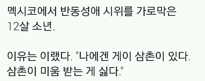 멕시코에서 반동성애 시위를 가로막은 12살 소년.twt | 인스티즈