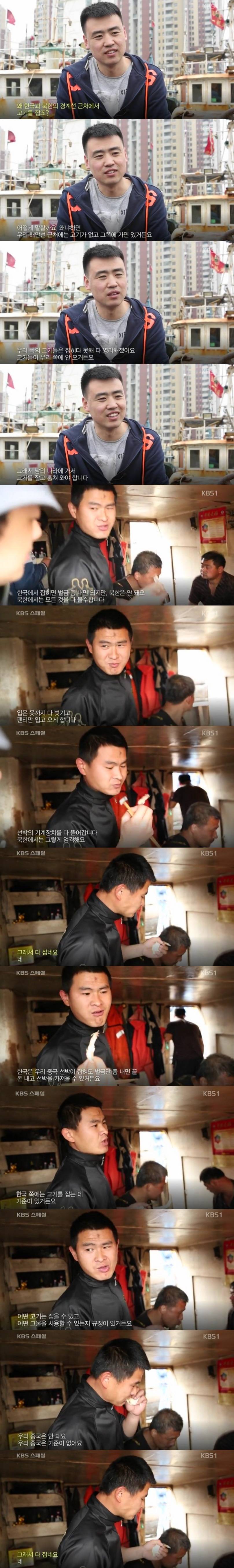 중국인들이 한국에서 불법조업을 하는 이유 | 인스티즈