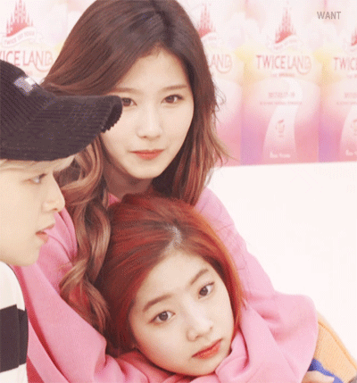 두부가 너무 좋은 사나.gif | 인스티즈