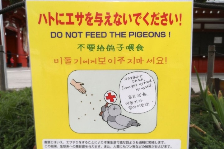 몇몇 한국인들의 이중성.jpg | 인스티즈