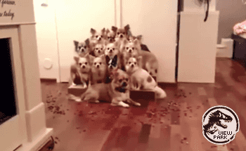 단체사진 한장만 찍을게요.gif | 인스티즈