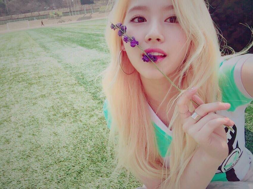 [트와이스] 섹시한거 할까 큐티한거 할까.gif | 인스티즈