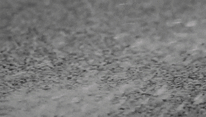 물 먹는 아스팔트.gif | 인스티즈