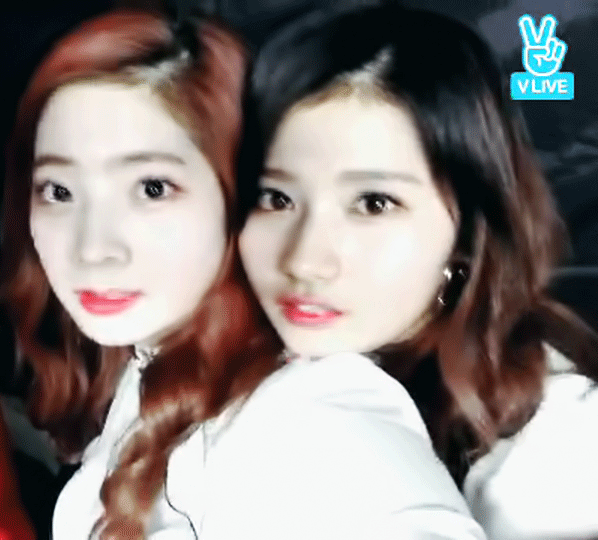 두부가 너무 좋은 사나.gif | 인스티즈