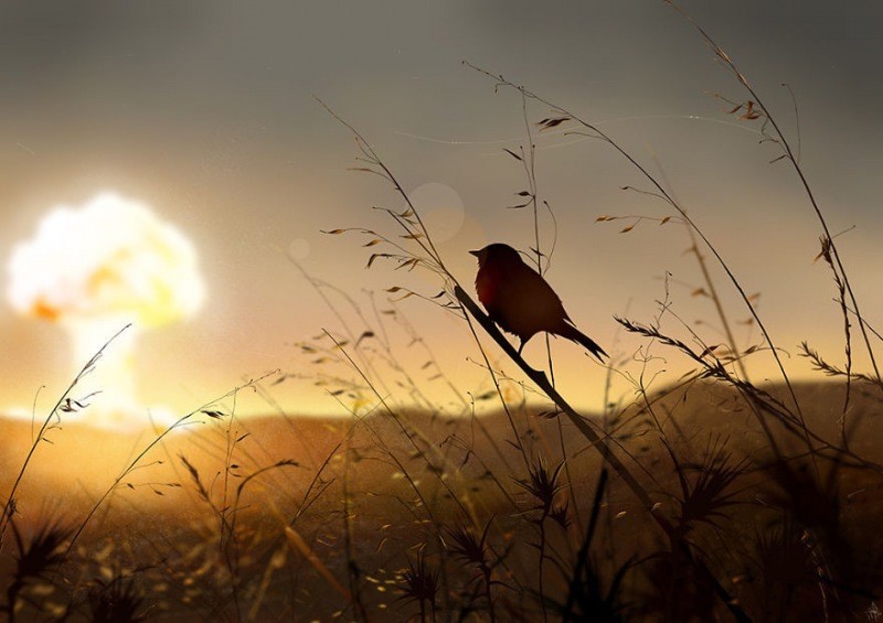 사실적인 그림들 . JPG | 인스티즈